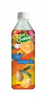 500 ml sampoche  juice 